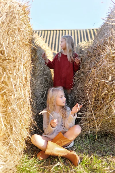 Portrait of two sisters during the autumn harvest — Stock Photo, Image