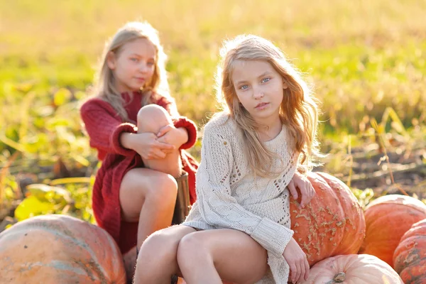 Retrato de dos hermanas durante la cosecha de otoño —  Fotos de Stock