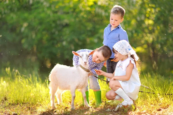 üç çocuklar yaz aylarında çayır üzerinde oyun