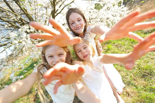 Retrato de meninas irmãs na primavera — Fotografia de Stock