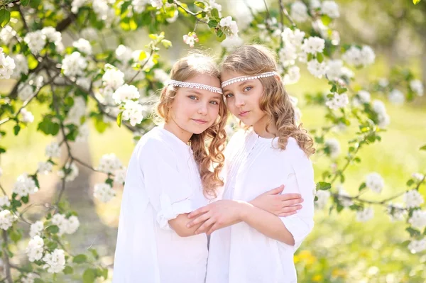 Retrato de duas meninas gêmeas — Fotografia de Stock