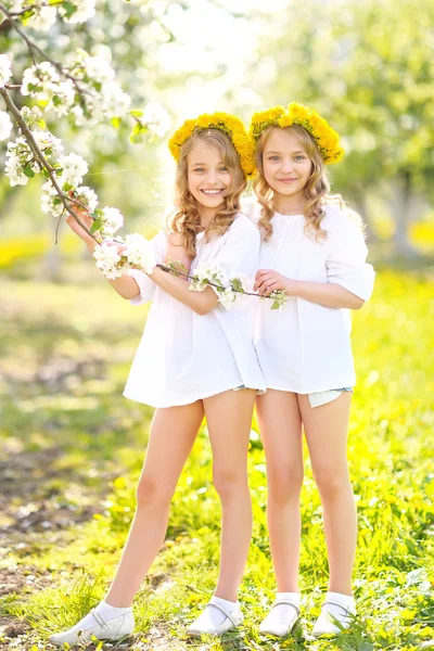 Retrato de duas meninas gêmeas — Fotografia de Stock