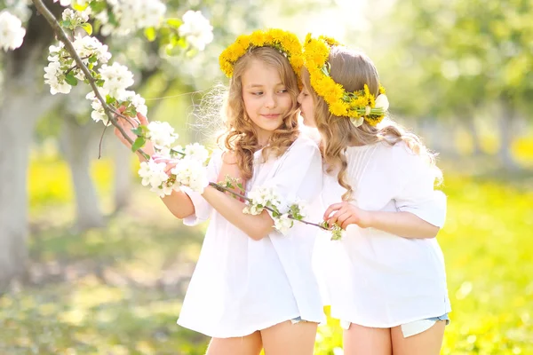 Portrait of two little girls twins — Stock Photo, Image