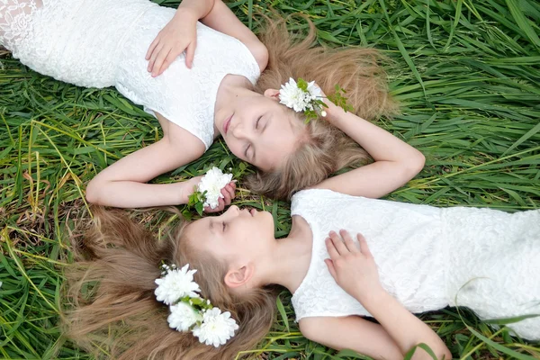 2 つの小さな女の子の双子の肖像画 — ストック写真