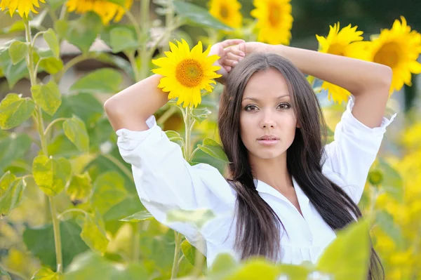 Mooie elegante brunette meisje in een veld — Stockfoto