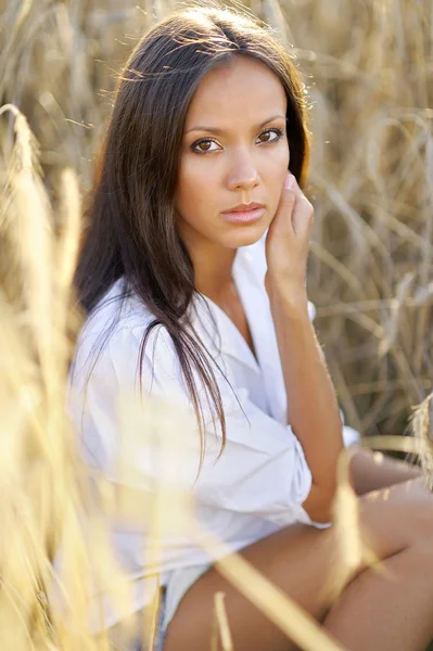 Beautiful elegant brunette girl in a field — Stock Photo, Image