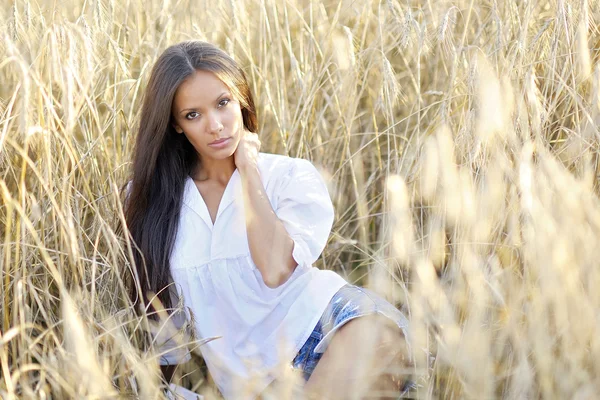 Beautiful elegant brunette girl in a field — Stock Photo, Image