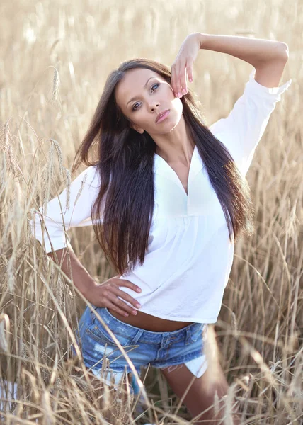 Mooie elegante brunette meisje in een veld — Stockfoto