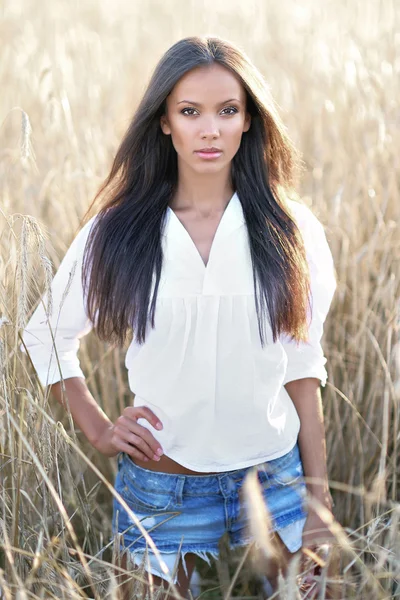 Mooie elegante brunette meisje in een veld — Stockfoto