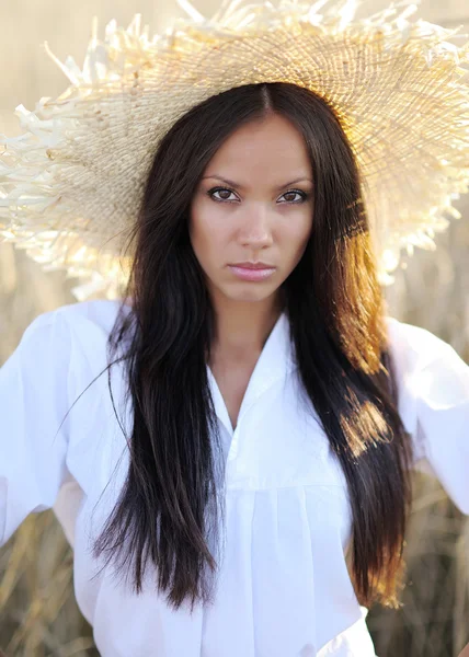 Mooie elegante brunette meisje in een veld — Stockfoto