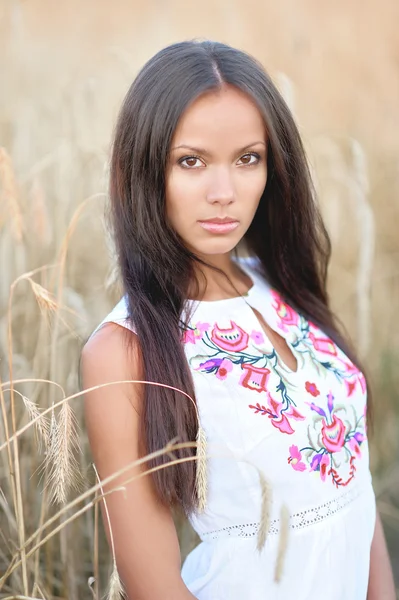 Mooie elegante brunette meisje in een veld — Stockfoto