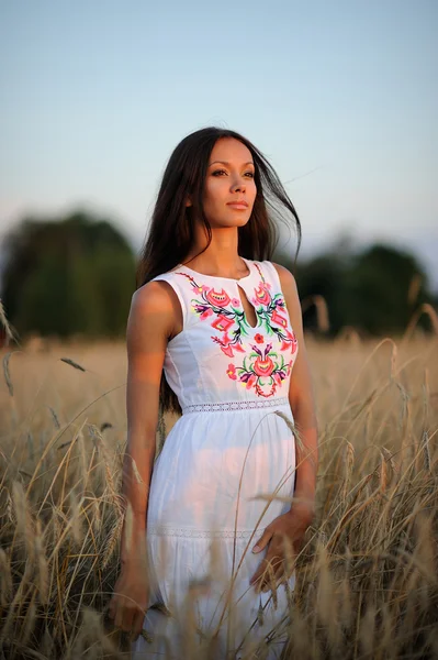 Mooie elegante brunette meisje in een veld — Stockfoto