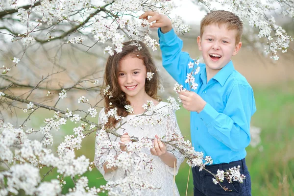 男孩和女孩在苍翠繁茂的花园里的肖像 — 图库照片