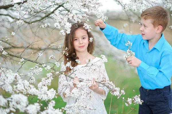 Bir erkek ve kız yemyeşil bahçede portre