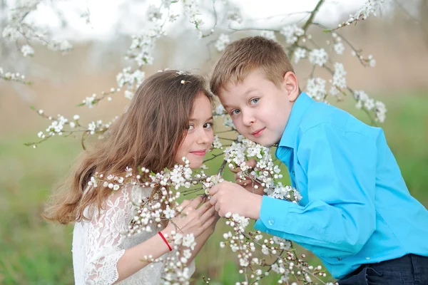 Портрет мальчика и девочки в пышном саду — стоковое фото