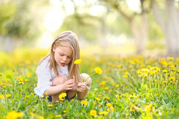 Portrait of little girl outdoors in summer — Stock Photo, Image