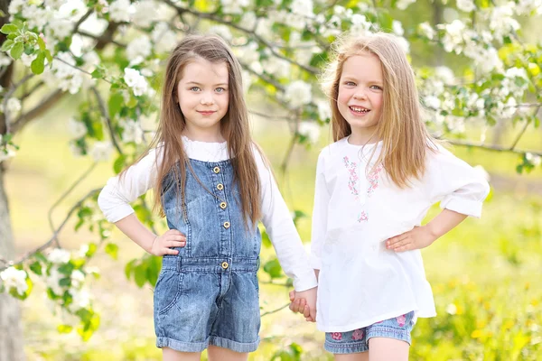 Portrait of two girls in the woods girlfriends — Stock Photo, Image