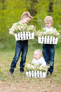 küçük çocuklar kamp tatil portresi