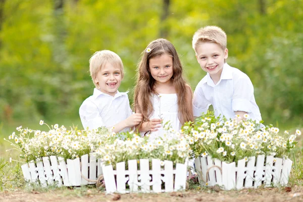 Trois enfants jouant sur la prairie en été — Photo