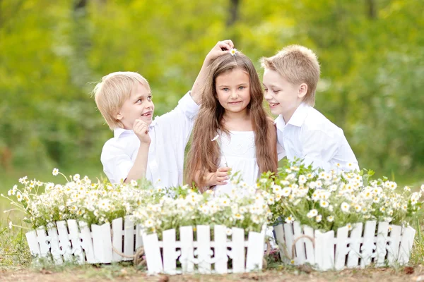 Trois enfants jouant sur la prairie en été — Photo