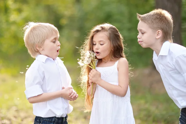 Tre barn leker på ängen i sommar — Stockfoto