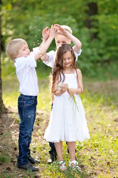 Trois enfants jouant sur la prairie en été — Photo