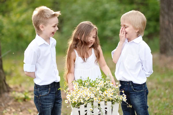 Tři děti si hrají na louce v létě — Stock fotografie