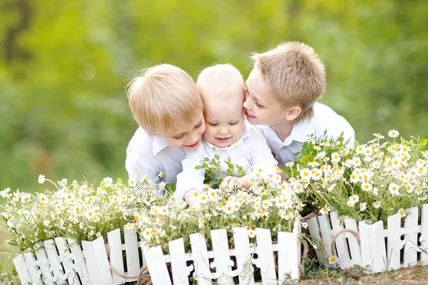 küçük çocuklar kamp tatil portresi