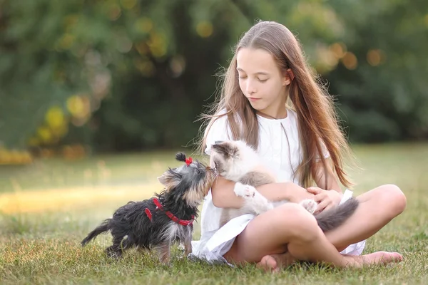 Porträtt av liten flicka utomhus på sommaren — Stockfoto