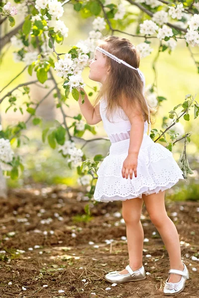 Portrait de petite fille en plein air en été — Photo