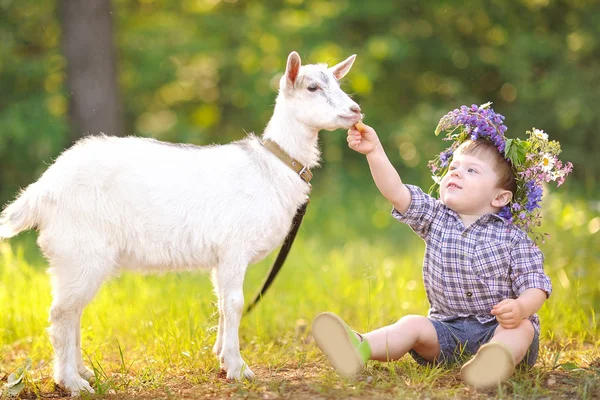 Portrait of a boy in the summer outdoors — Stock Photo, Image