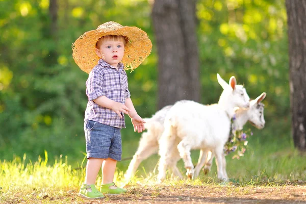 Portrait d'un garçon en plein air en été — Photo