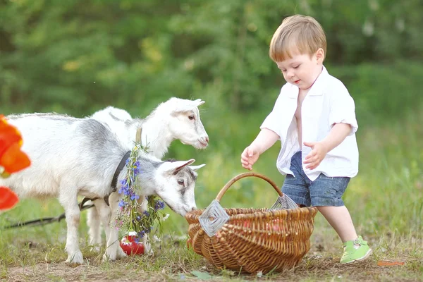 Portrait of a boy in the summer outdoors — Stok Foto