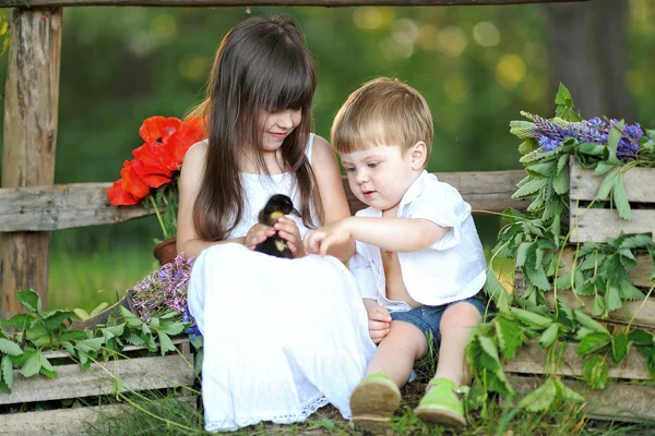 Portrait d'un garçon et d'une fille en été — Photo