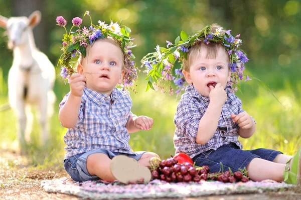 夏の屋外で 2 人の男の子の肖像画 — ストック写真