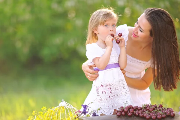 Portrait of a happy family in the summer on the nature — Stock Photo, Image