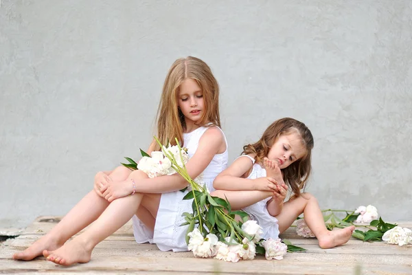 Portrait of two girls of girlfriends on a summer nature — Stock Photo, Image