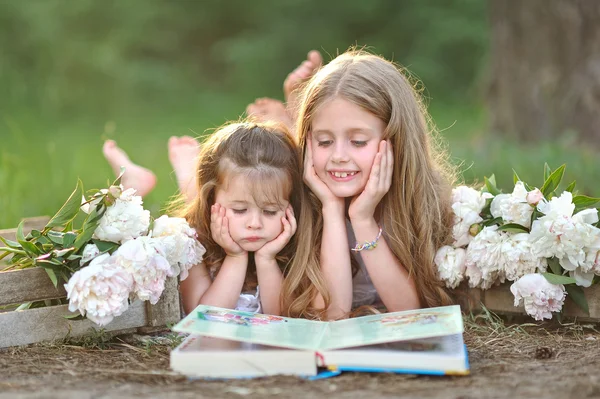 El retrato de dos muchachas de las amigas por la naturaleza veraniega —  Fotos de Stock