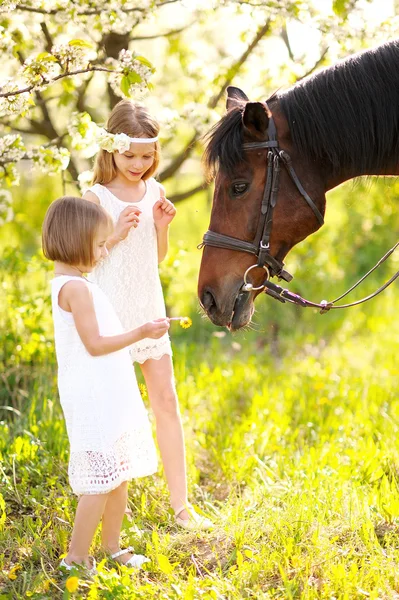 Portrait de deux filles de copines sur une nature estivale — Photo