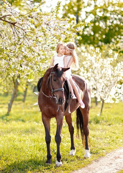 Portrait of two girls of girlfriends on a summer nature — Stock Photo, Image