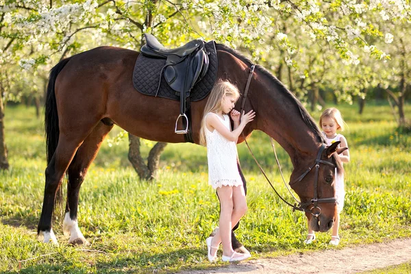 Portrait de deux filles de copines sur une nature estivale — Photo