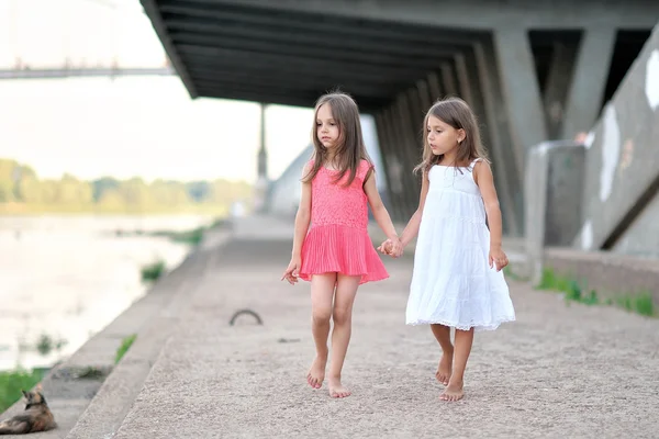 Porträtt av två flickor av flickvänner på en sommar natur — Stockfoto