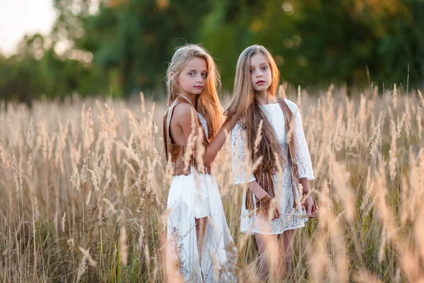 El retrato de dos muchachas de las amigas por la naturaleza veraniega —  Fotos de Stock