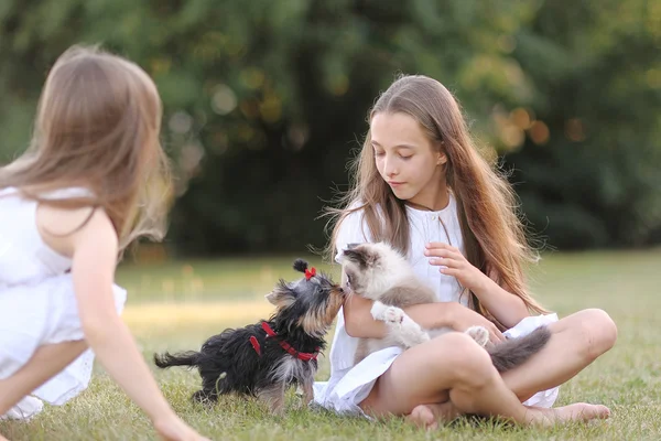 Portret van twee meisjes van vriendinnen op een zomer aard — Stockfoto