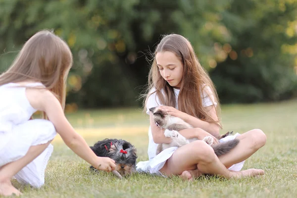 Ritratto di due ragazze di fidanzate su una natura estiva — Foto Stock