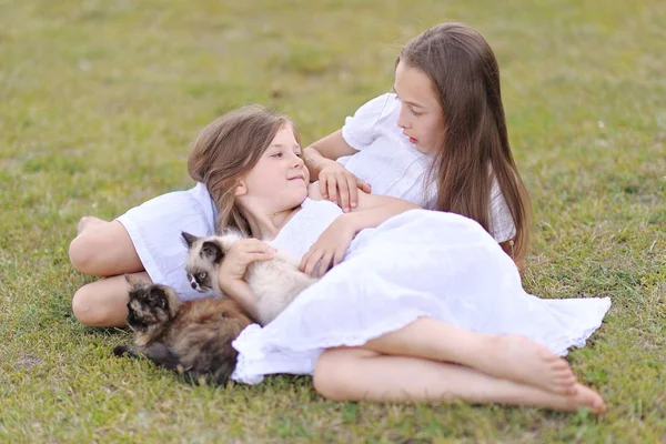 El retrato de dos muchachas de las amigas por la naturaleza veraniega —  Fotos de Stock