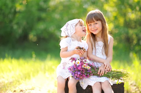 Portrait of two girls of girlfriends on a summer nature — Stock Photo, Image