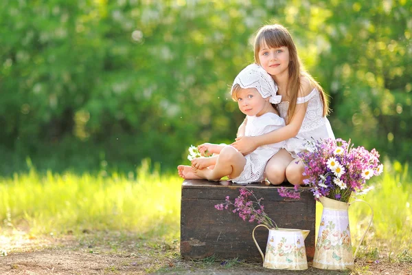 Portrait of two girls of girlfriends on a summer nature — Stock Photo, Image