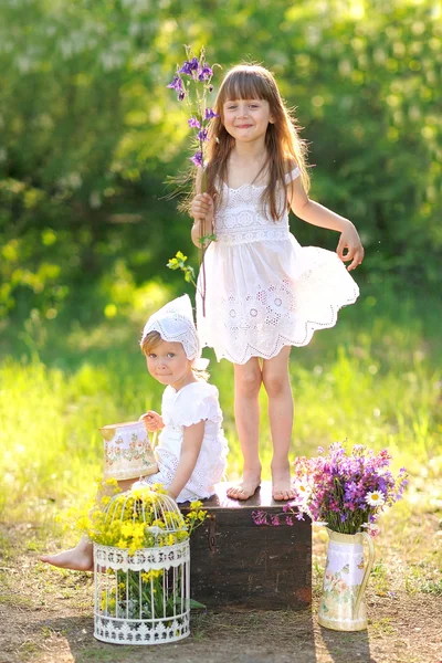 El retrato de dos muchachas de las amigas por la naturaleza veraniega — Foto de Stock