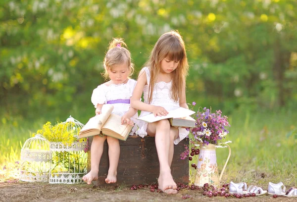 Retrato de duas meninas de amigas em uma natureza de verão — Fotografia de Stock